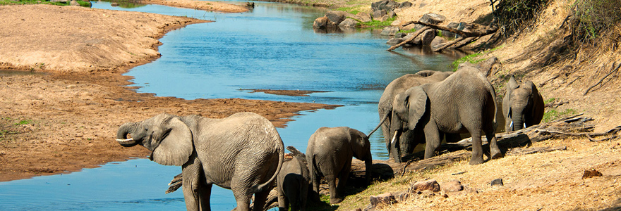 le parc de Ruaha